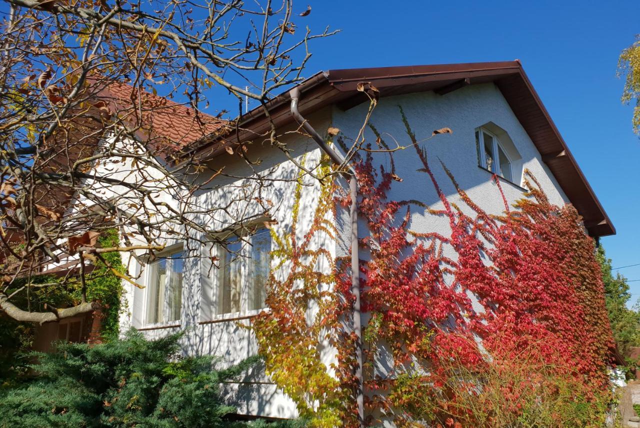 Borowe Kt Villa Варка Екстериор снимка