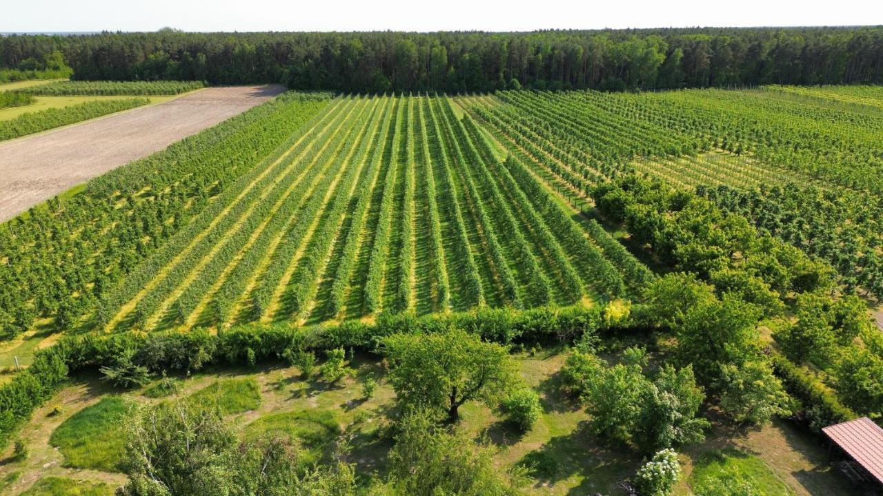 Borowe Kt Villa Варка Екстериор снимка
